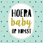 Klik op de afbeelding om de link te volgen