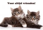 Klik op de afbeelding om de link te volgen