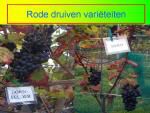 Klik op de afbeelding om de link te volgen