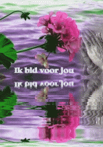 Klik op de afbeelding om de link te volgen