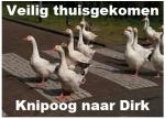 Klik op de afbeelding om de link te volgen