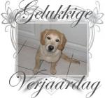 Klik op de afbeelding om de link te volgen
