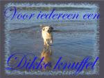 Klik op de afbeelding om de link te volgen