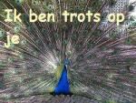 Klik op de afbeelding om de link te volgen