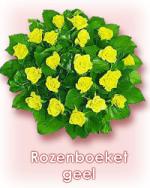 Klik op de afbeelding om de link te volgen
