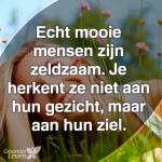 Klik op de afbeelding om de link te volgen