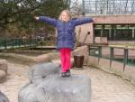 Klik op de afbeelding om de link te volgen