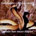 Klik op de afbeelding om de link te volgen