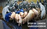 Klik op de afbeelding om de link te volgen