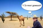 Klik op de afbeelding om de link te volgen
