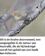 Klik op de afbeelding om de link te volgen