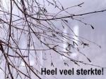Klik op de afbeelding om de link te volgen