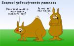 Klik op de afbeelding om de link te volgen