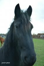 Klik op de afbeelding om de link te volgen