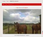 Klik op de afbeelding om de link te volgen