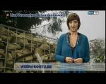 Klik op de afbeelding om de link te volgen