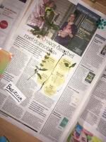 Klik op de afbeelding om de link te volgen