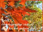 Klik op de afbeelding om de link te volgen