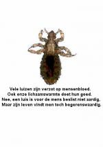 Klik op de afbeelding om de link te volgen