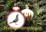 Klik op de afbeelding om de link te volgen