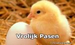 Klik op de afbeelding om de link te volgen