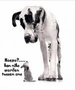 Klik op de afbeelding om de link te volgen
