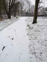 Klik op de afbeelding om de link te volgen