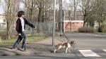Klik op de afbeelding om de link te volgen