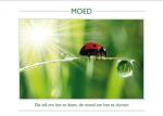 Klik op de afbeelding om de link te volgen