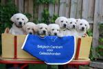 Klik op de afbeelding om de link te volgen
