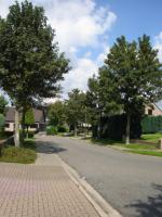 Klik op de afbeelding om de link te volgen