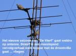 Klik op de afbeelding om de link te volgen