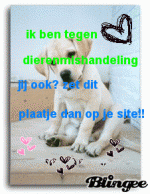 Klik op de afbeelding om de link te volgen