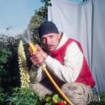 Klik op de afbeelding om de link te volgen