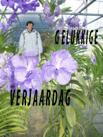 Klik op de afbeelding om de link te volgen