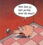 Klik op de afbeelding om de link te volgen