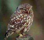 Klik op de afbeelding om de link te volgen