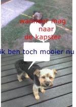Klik op de afbeelding om de link te volgen