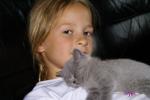 Klik op de afbeelding om de link te volgen