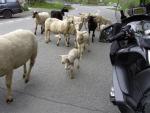 Klik op de afbeelding om de link te volgen