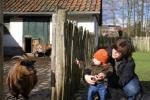 Klik op de afbeelding om de link te volgen