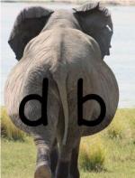 Klik op de afbeelding om de link te volgen