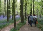 Klik op de afbeelding om de link te volgen