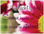 Klik op de afbeelding om de link te volgen