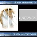 Klik op de afbeelding om de link te volgen