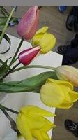 Klik op de afbeelding om de link te volgen