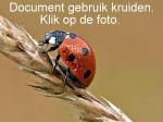 Klik op de afbeelding om de link te volgen