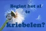 Klik op de afbeelding om de link te volgen