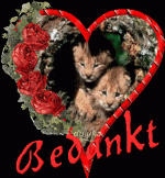 Klik op de afbeelding om de link te volgen
