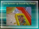 Klik op de afbeelding om de link te volgen